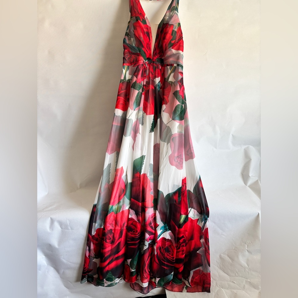 Cachet Red and White Rose Maxi Dress